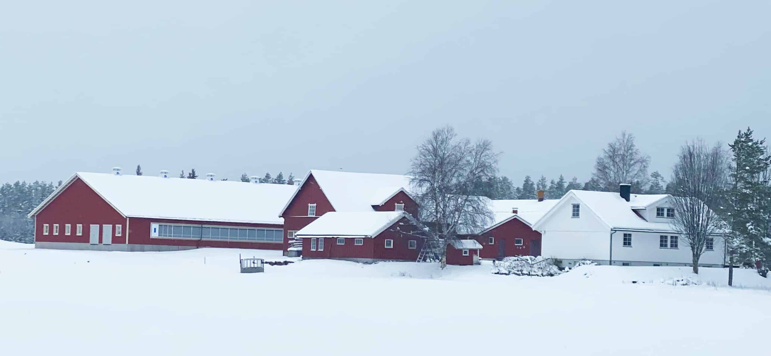Fjos-finnskogen-scaled