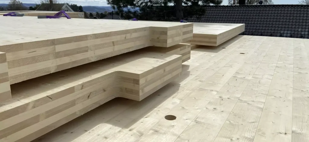 Hus-i-massivtre-scaled