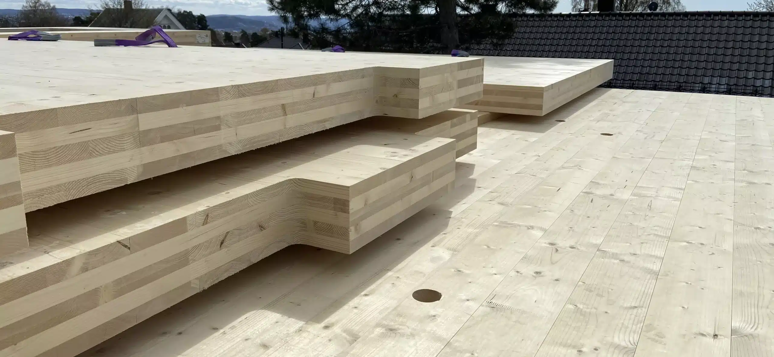 Hus-i-massivtre-scaled